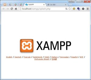 Hướng dẫn cách cài đặt localhost trên máy tính với XAMPP (13)