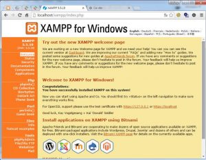 Hướng dẫn cách cài đặt localhost trên máy tính với XAMPP (14)