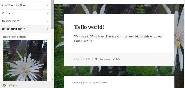 Cách thiết lập và tùy chỉnh Background WordPress (4)