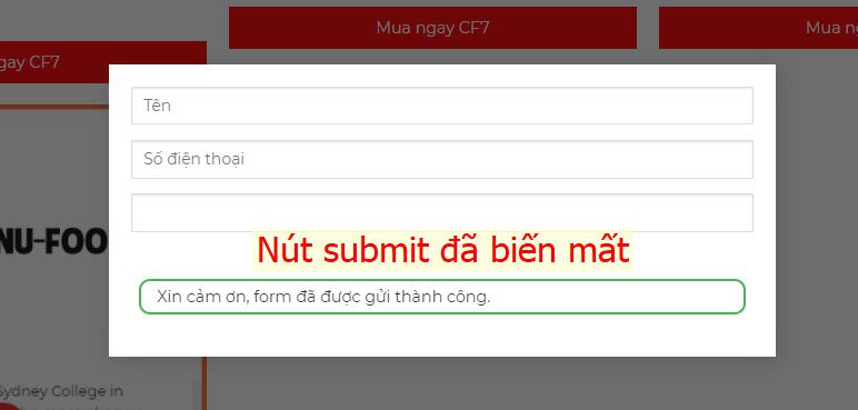 Làm thế nào để chặn gửi Contact Form 7 nhiều lần 1 lúc? (1)