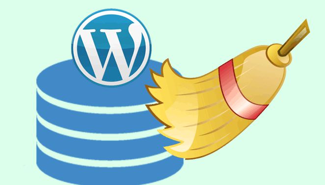 Hướng dẫn cách dọn dẹp dữ liệu thừa trong WordPress