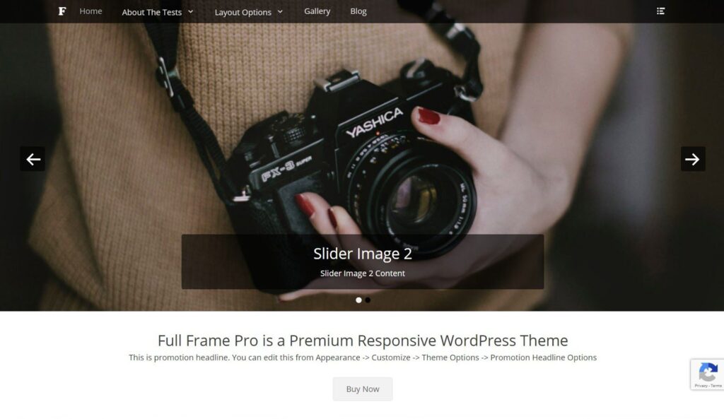 Top 10 theme WordPress miễn phí tốt nhất về chủ đề nhiếp ảnh (5)