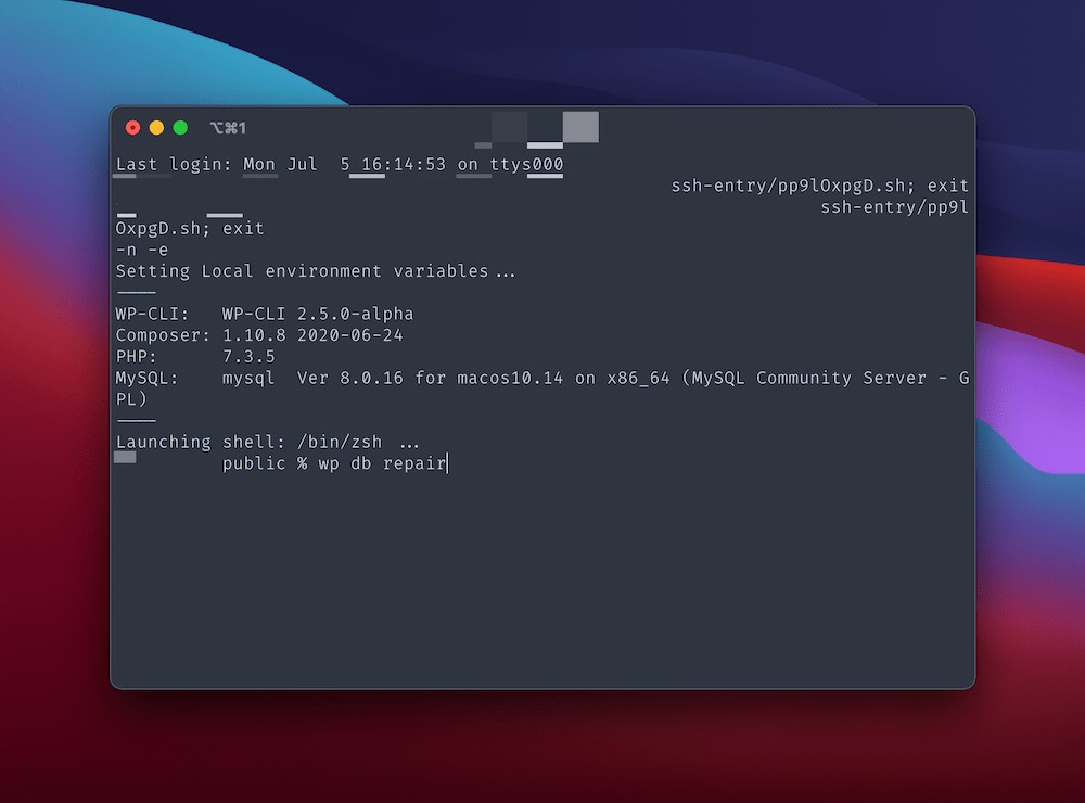Sử dụng WP-CLI để sửa chữa database WordPress